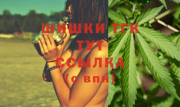 хмурый Богородск