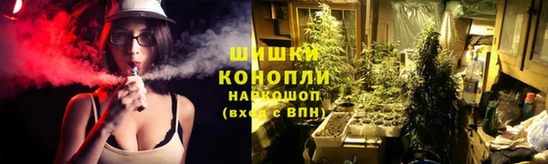 хмурый Богородск
