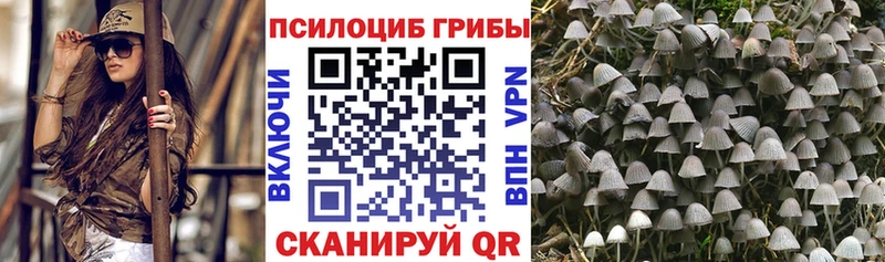 darknet состав  Свободный  Псилоцибиновые грибы GOLDEN TEACHER  закладка 